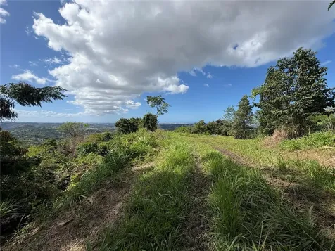 Quebrada Grande Trujillo Alto PR 00976