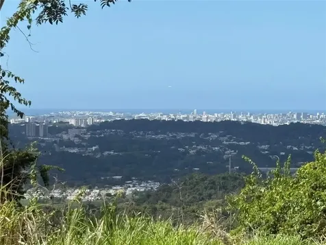 Quebrada Grande Trujillo Alto PR 00976