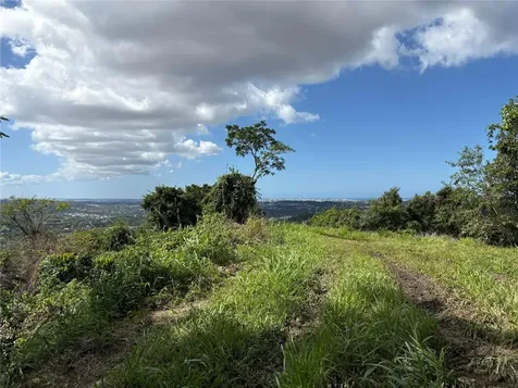 Quebrada Grande Trujillo Alto PR 00976