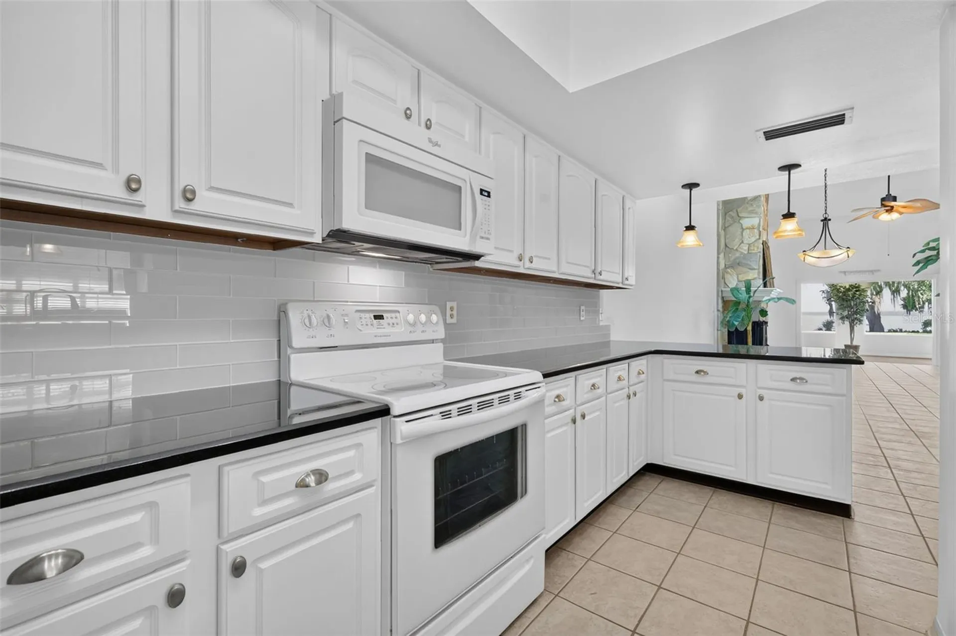 1111 Lakeshore Drive Eustis FL 32726