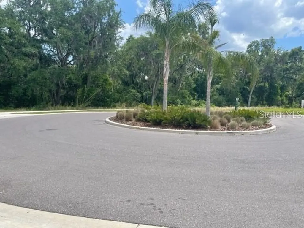 833 Wiltonway Drive Plant City FL 33563
