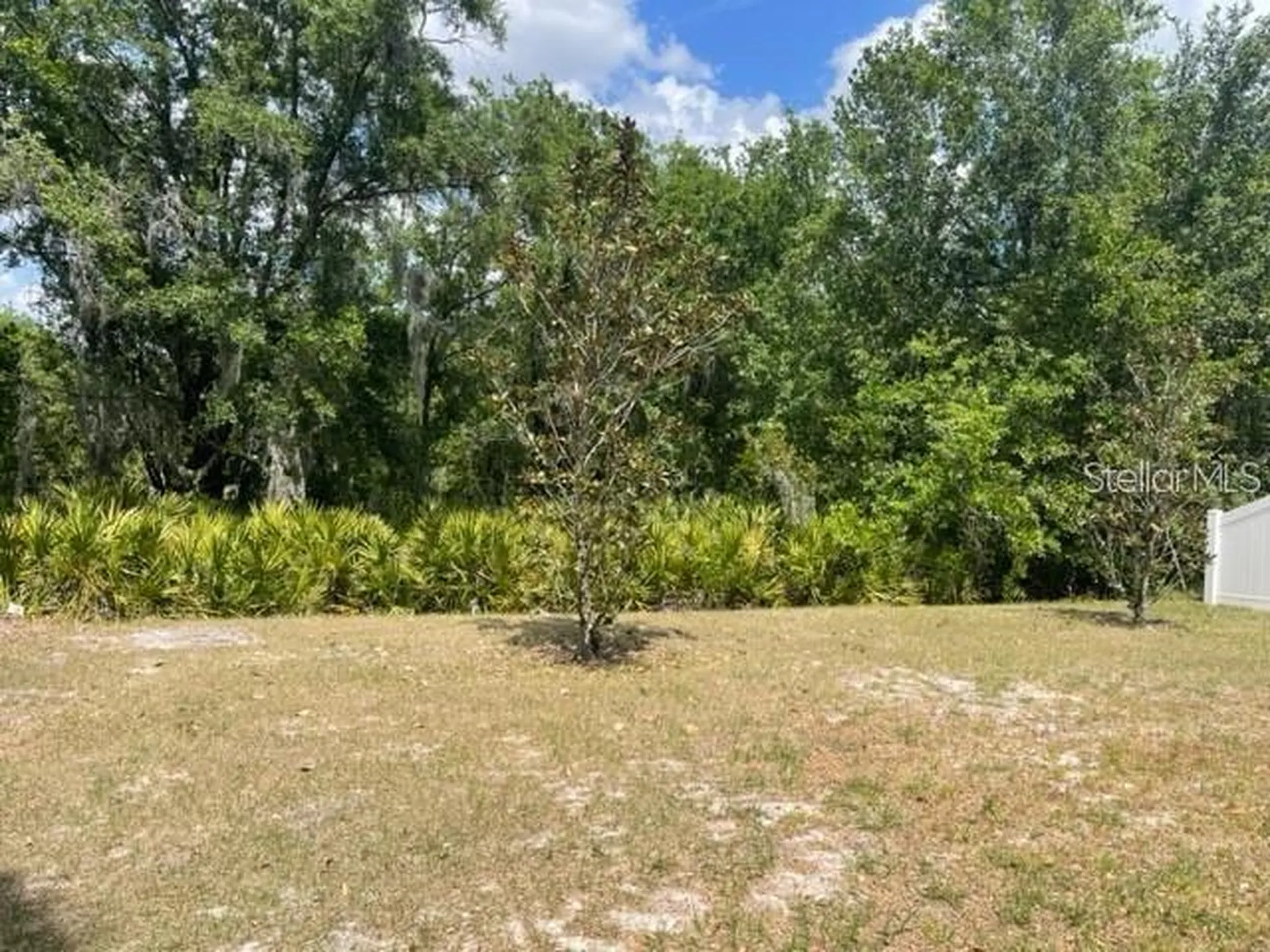 833 Wiltonway Drive Plant City FL 33563