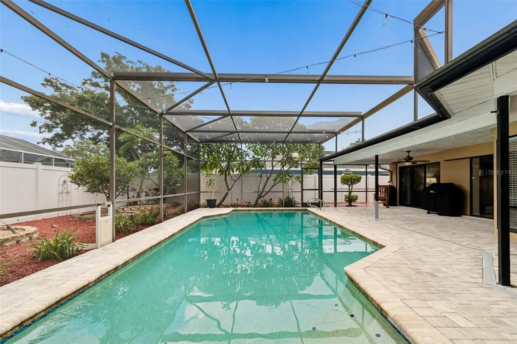 1563 Misty Plateau Trail Clearwater FL 33765