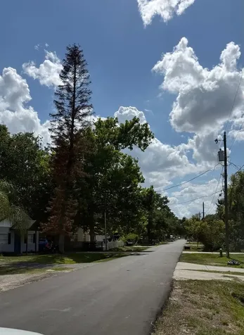 341 E Lafayette Street Winter Garden FL 34787