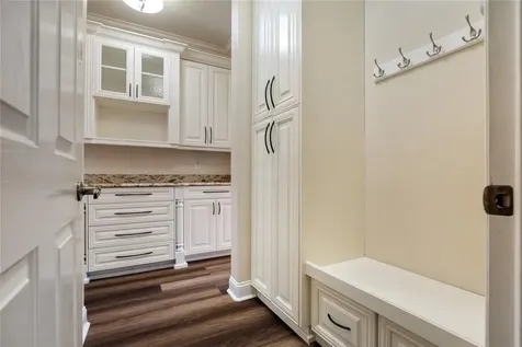 1630 Tawnyberry Court Trinity FL 34655