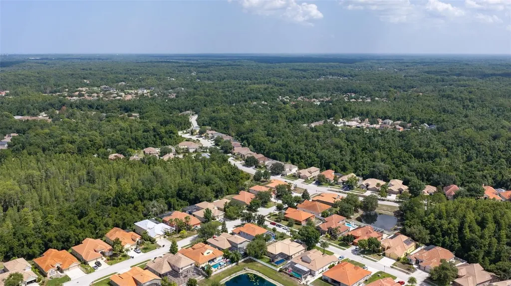 11508 Oyster Bay Circle New Port Richey FL 34654