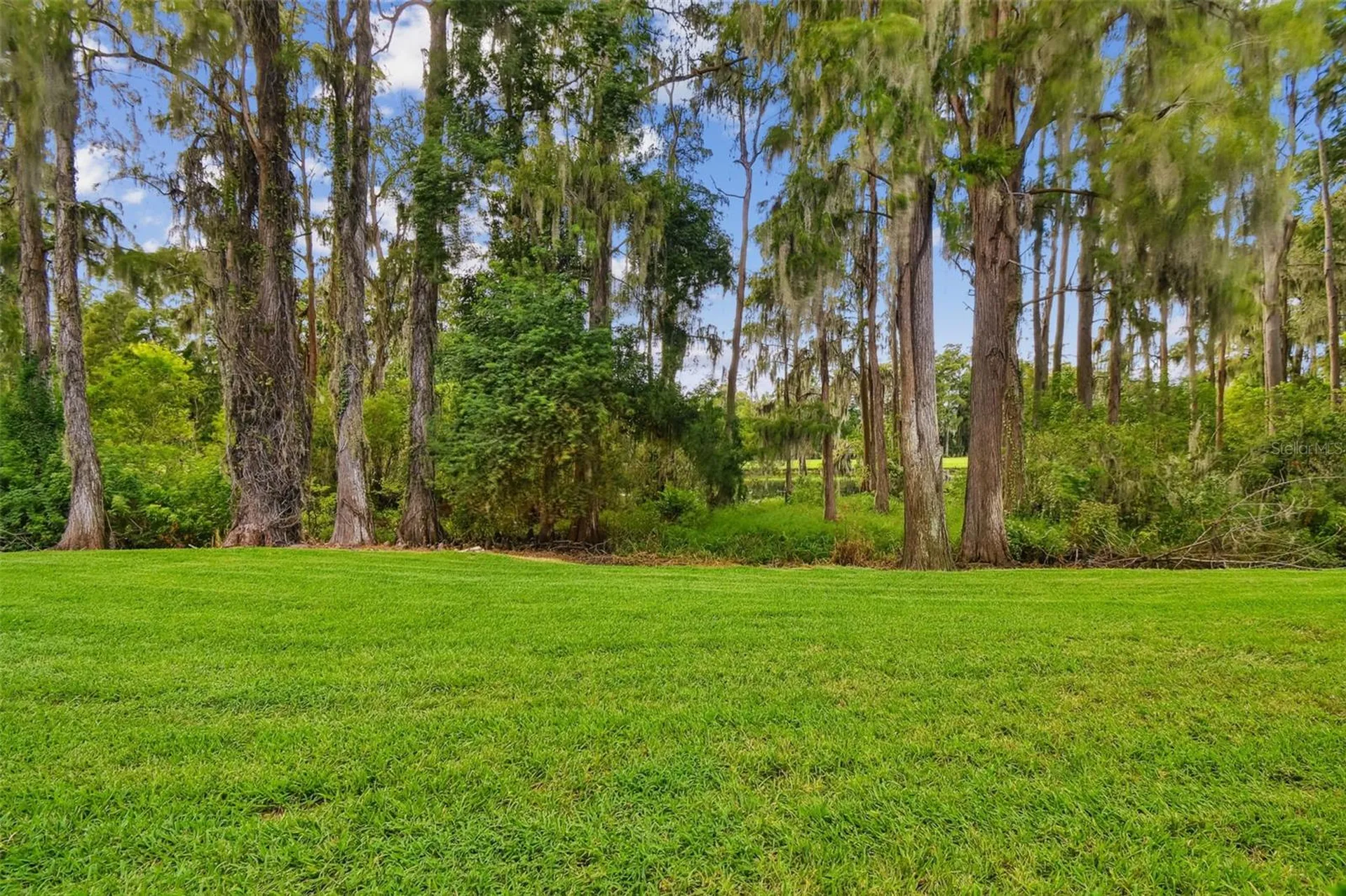 36750 Us Highway 19 N Palm Harbor FL 34684