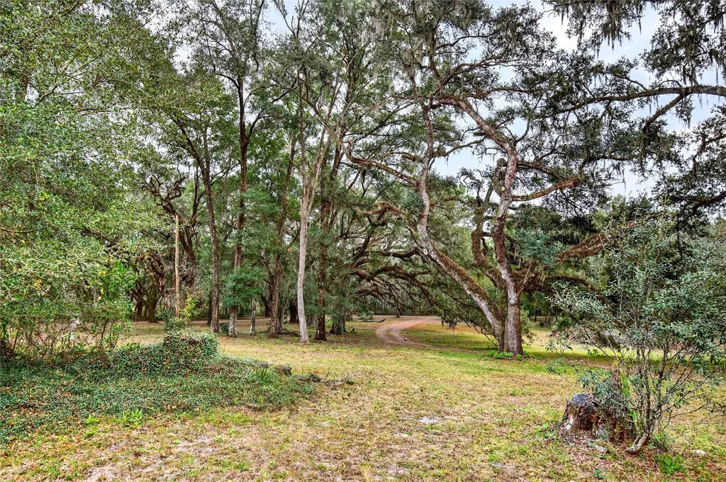 11795 SW Highway 484 Dunnellon FL 34432