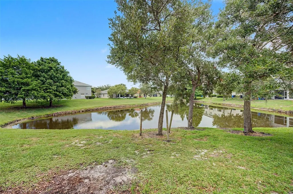 12216 Country White Circle Tampa FL 33635
