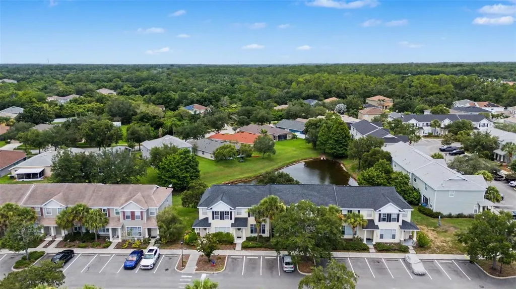 12216 Country White Circle Tampa FL 33635