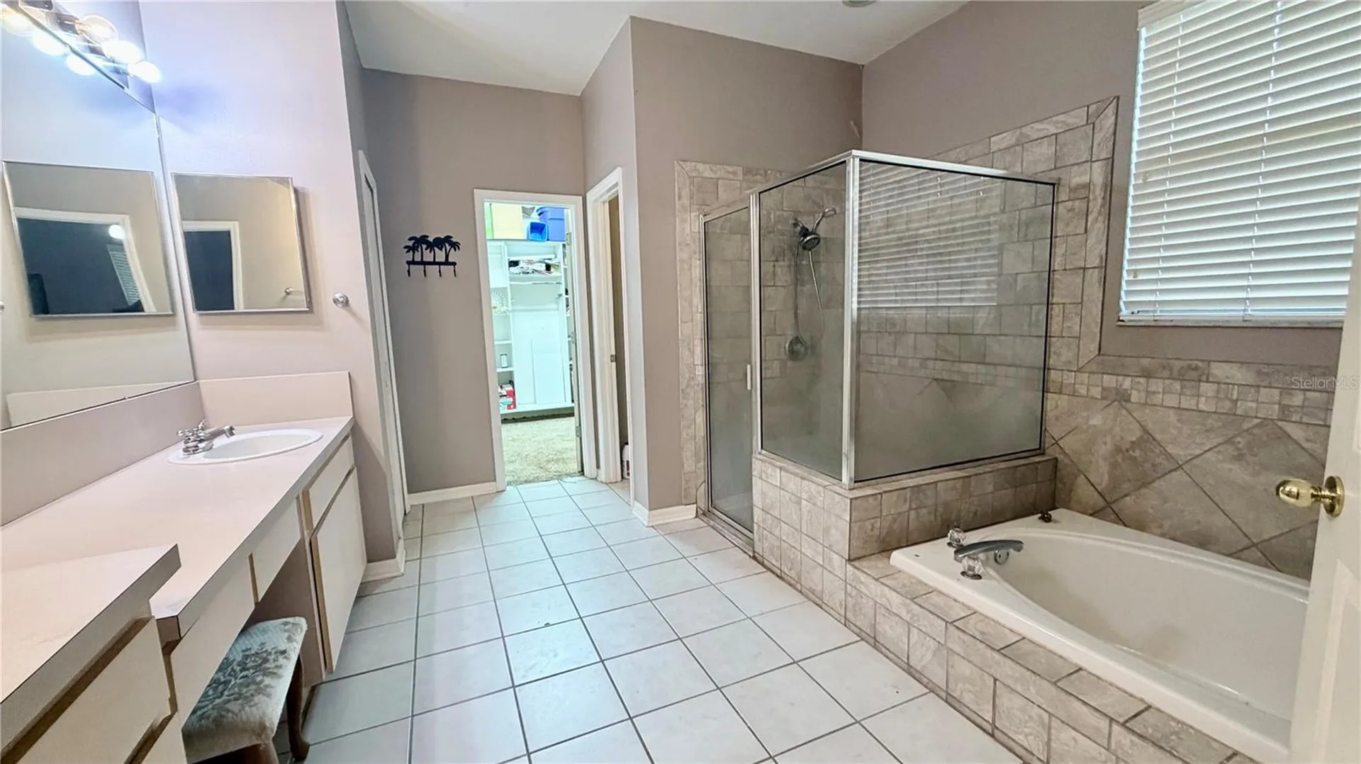 3806 Triple Jump Street Valrico FL 33596