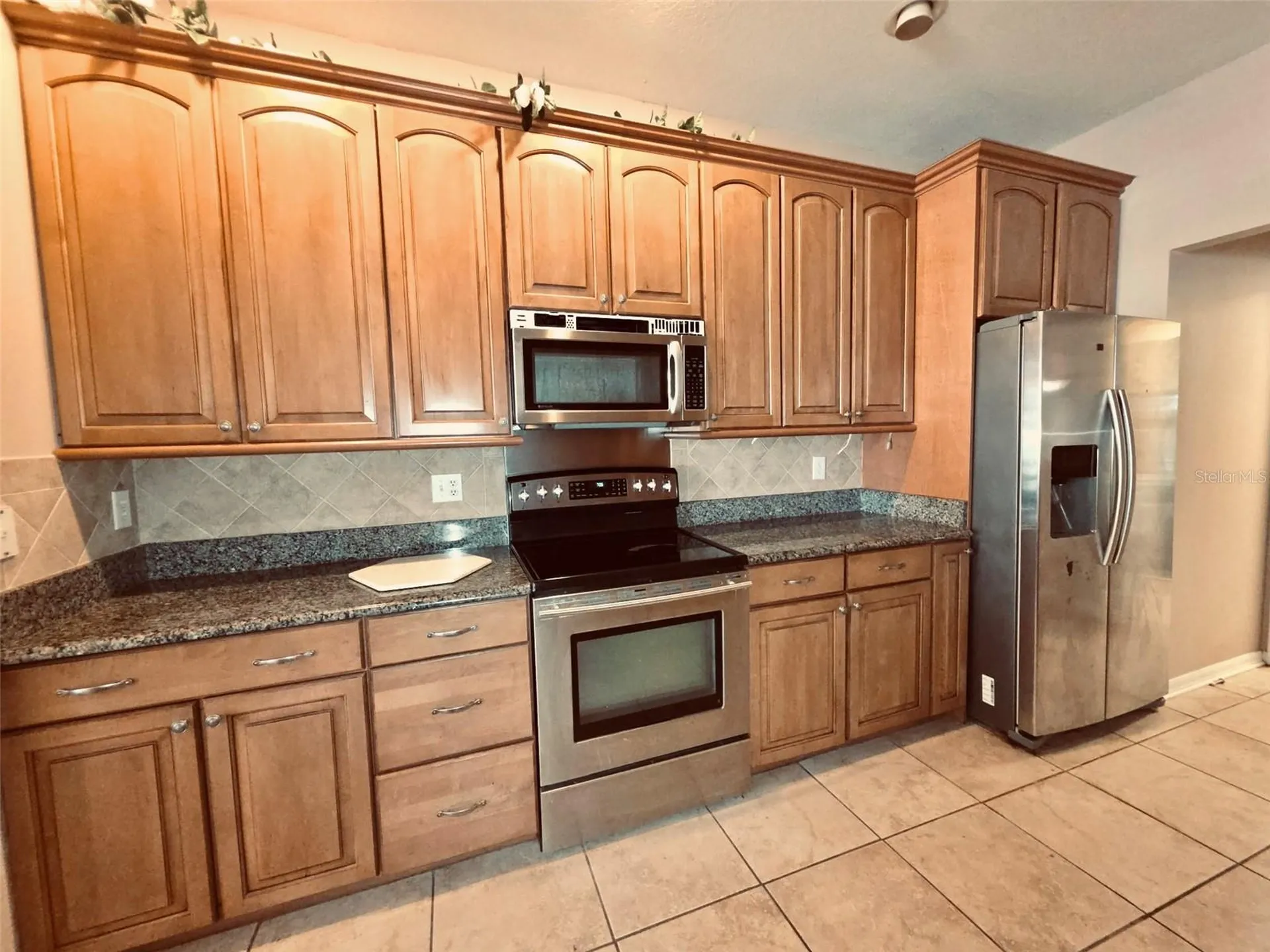 3806 Triple Jump Street Valrico FL 33596