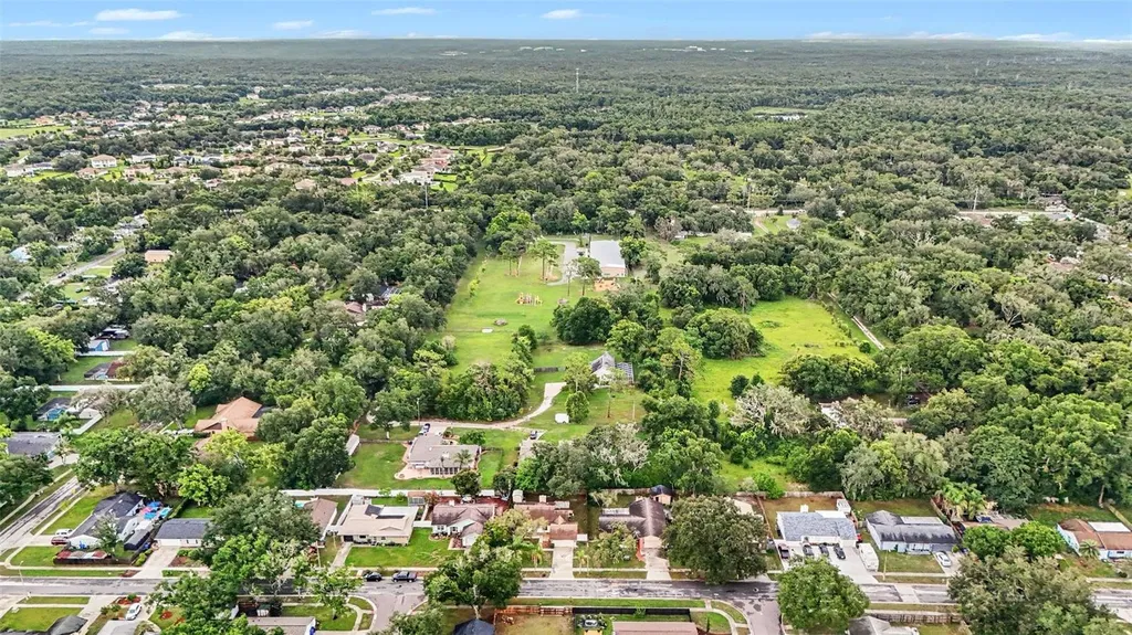 17703 Cranbrook Drive Lutz FL 33549