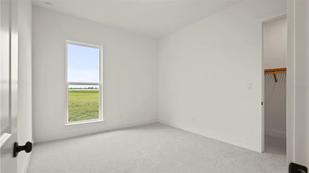 5590 Vibrant Vine Drive Wimauma FL 33598
