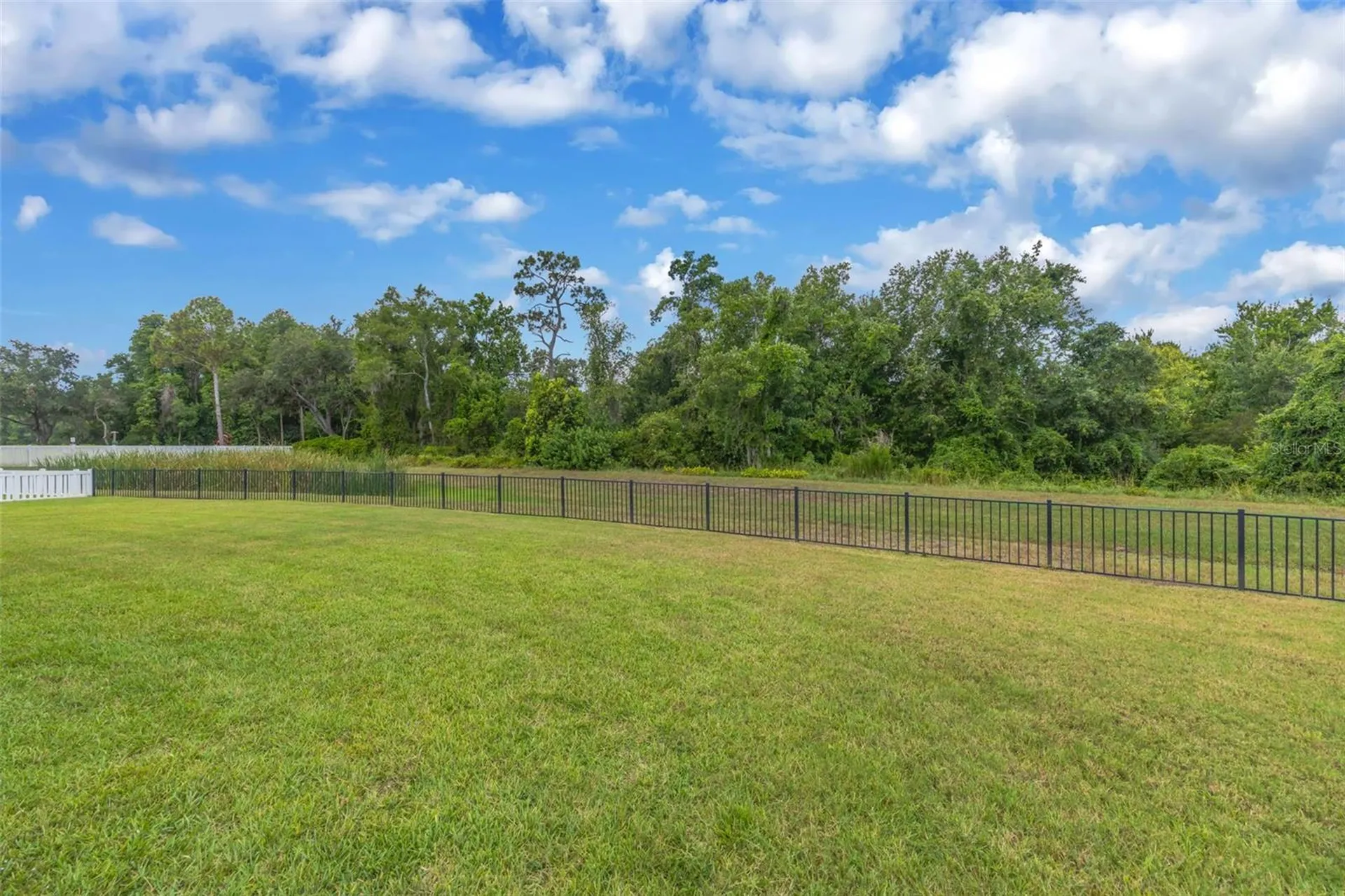 13804 Fairway Bunker Drive Tampa FL 33626