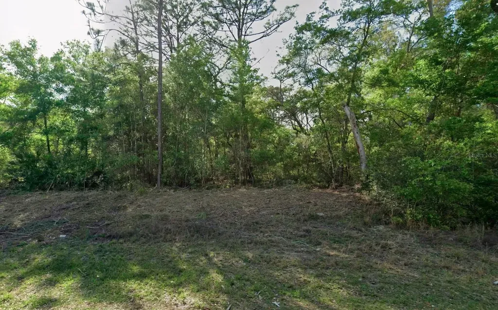10830 N Hatari Drive Citrus Springs FL 34434