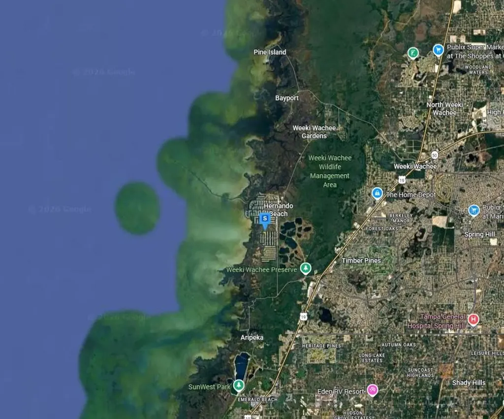 3451 Crape Myrtle Drive Hernando Beach FL 34607