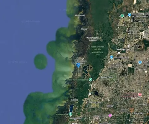 3451 Crape Myrtle Drive Hernando Beach FL 34607