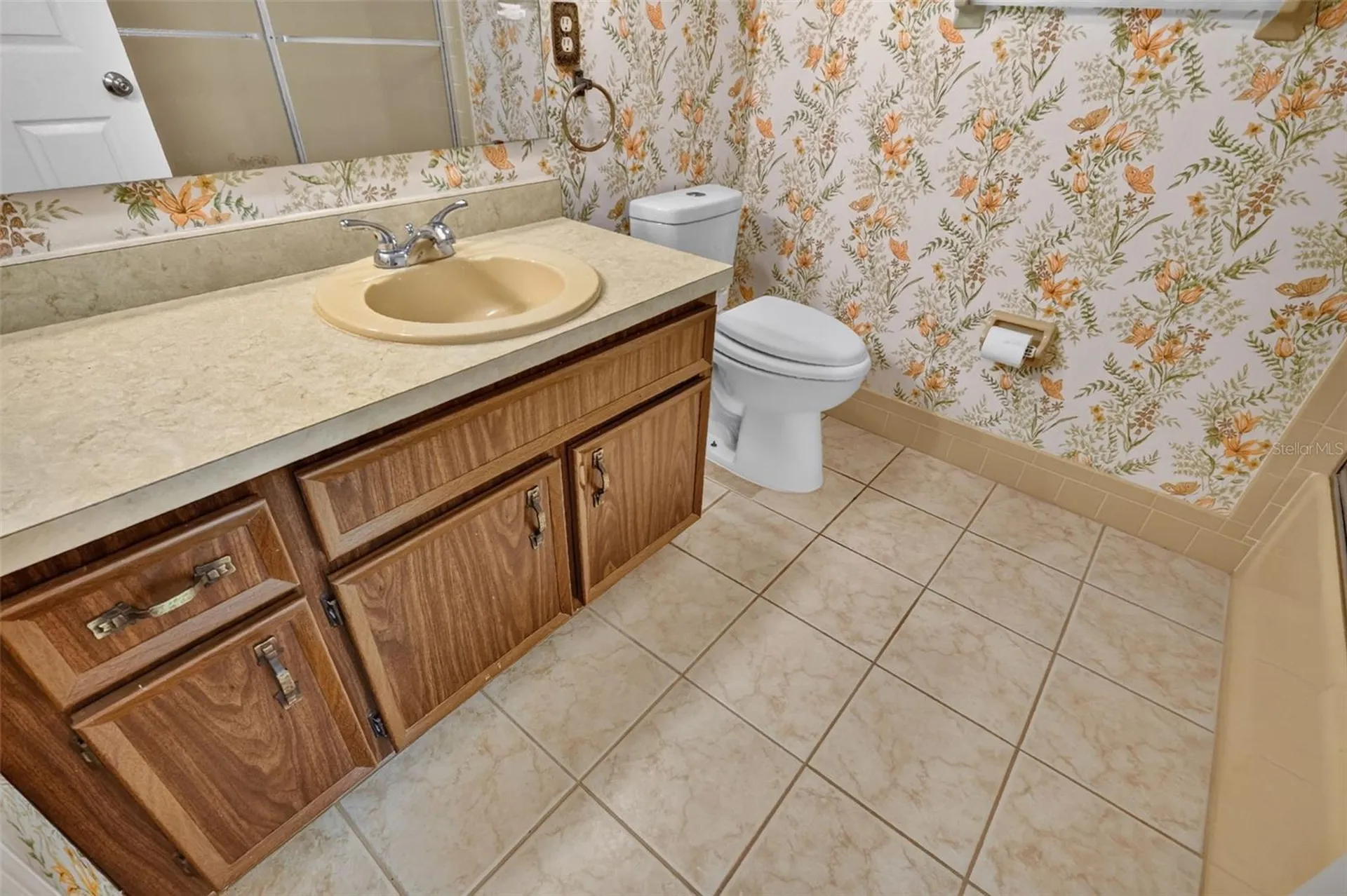 33718 Picciola Drive Fruitland Park FL 34731