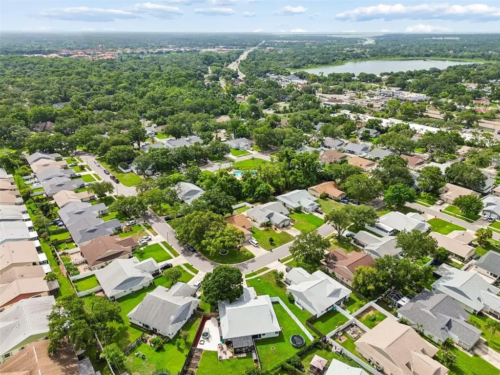 341 Hibiscus Drive Palm Harbor FL 34684
