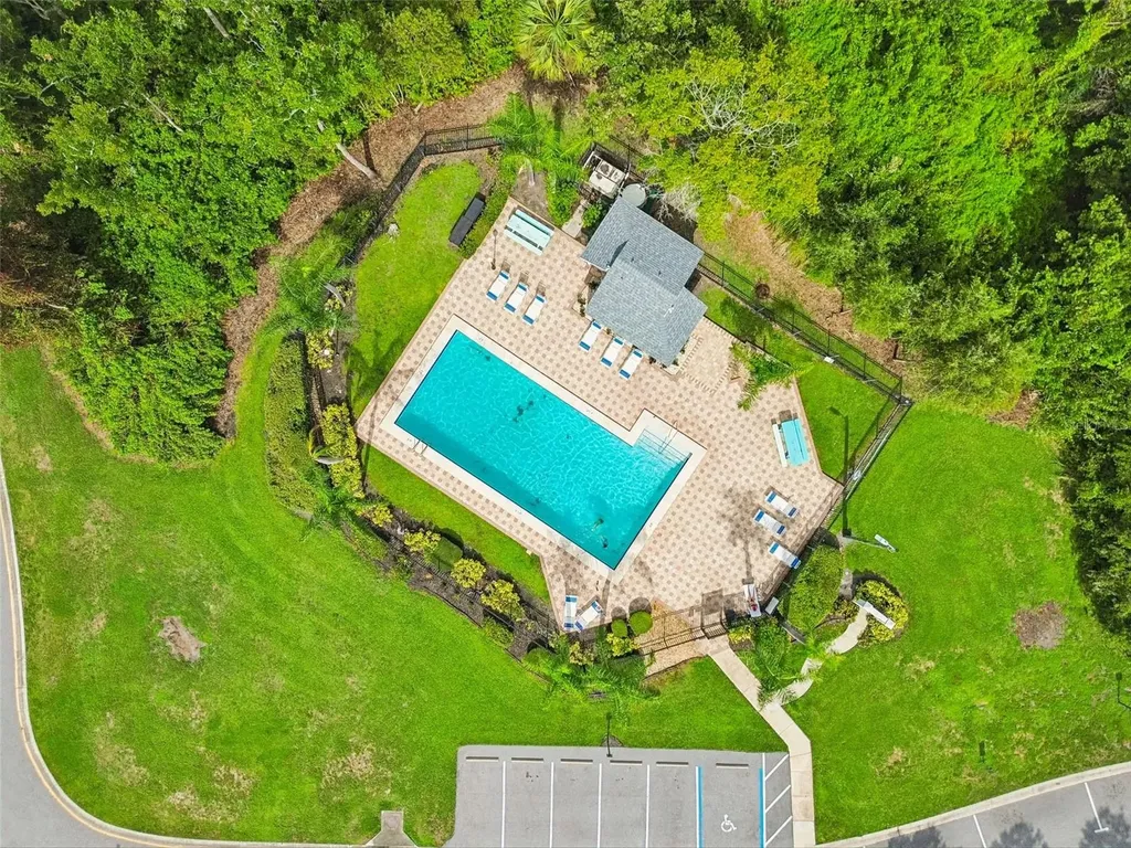 341 Hibiscus Drive Palm Harbor FL 34684