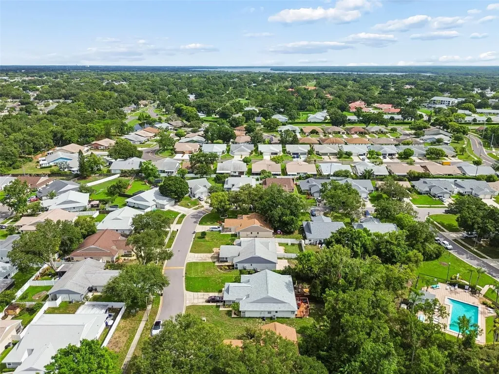 341 Hibiscus Drive Palm Harbor FL 34684