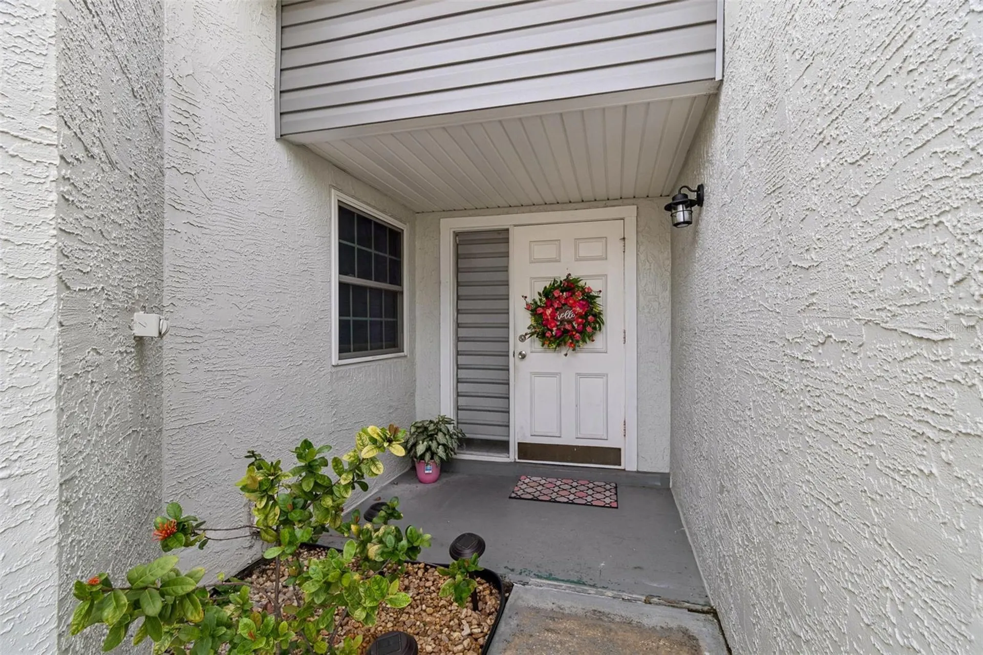 341 Hibiscus Drive Palm Harbor FL 34684