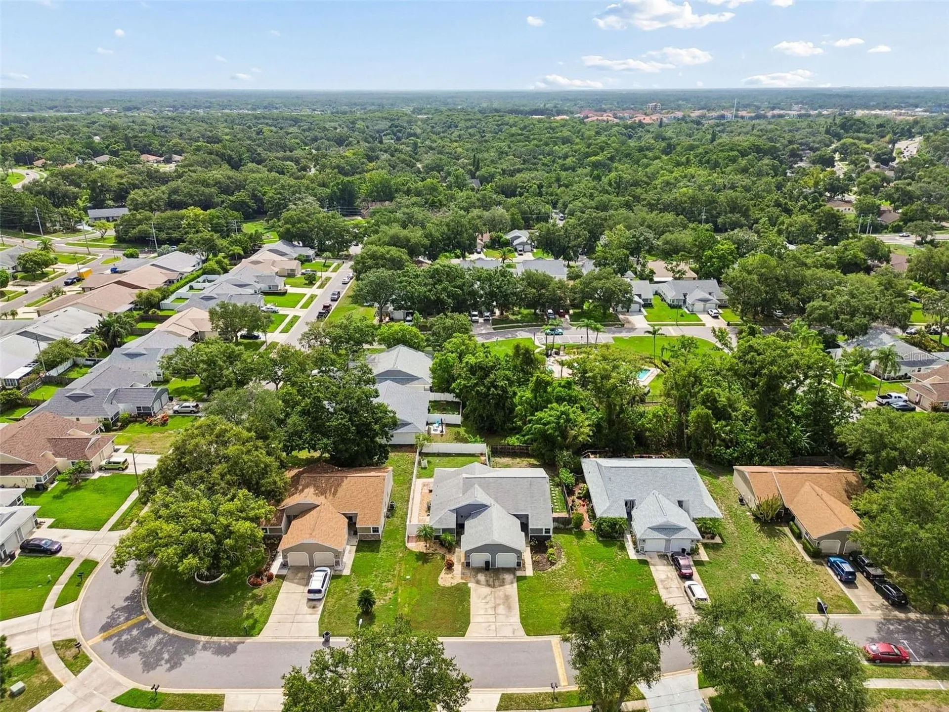 341 Hibiscus Drive Palm Harbor FL 34684