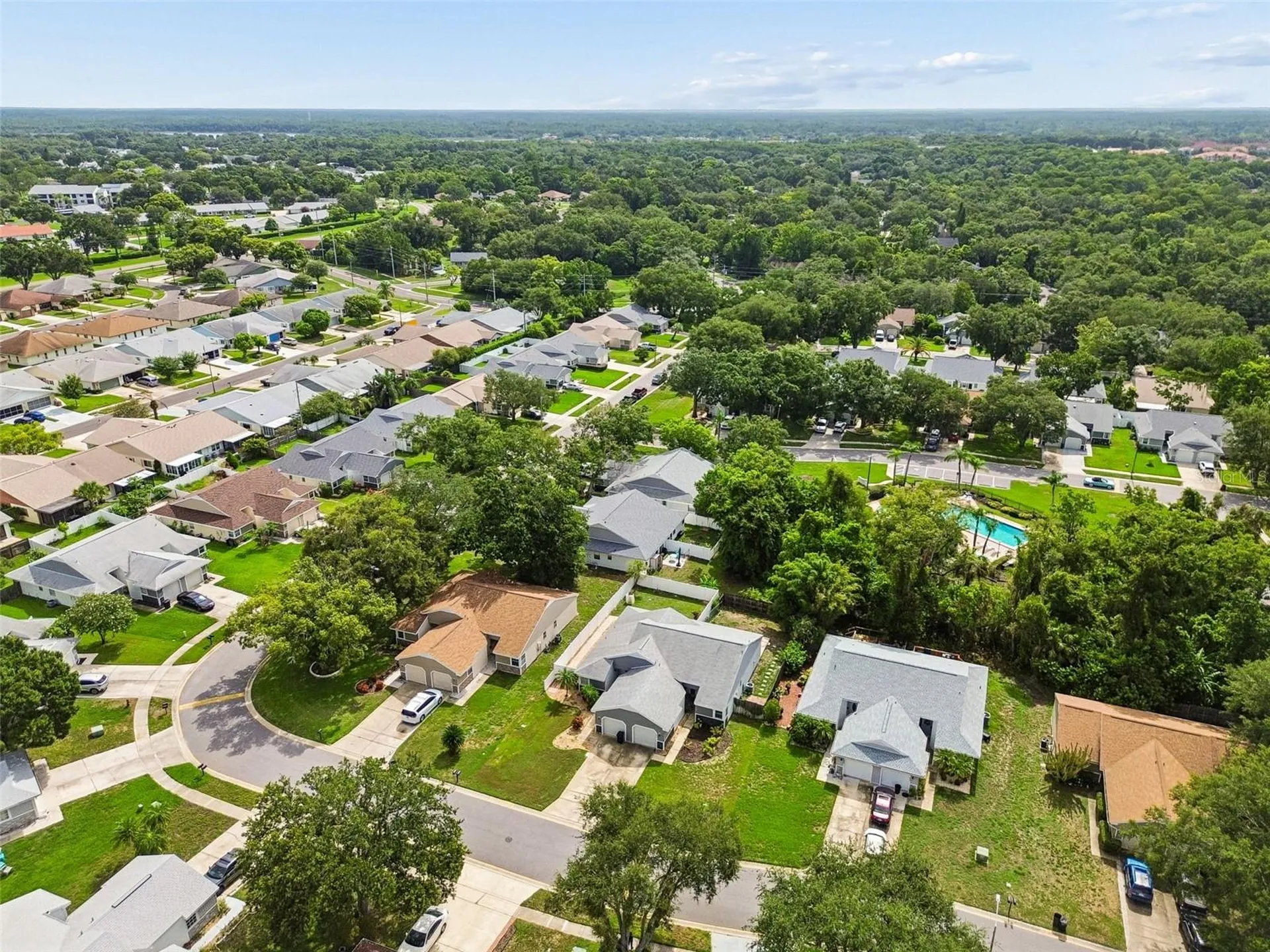 341 Hibiscus Drive Palm Harbor FL 34684