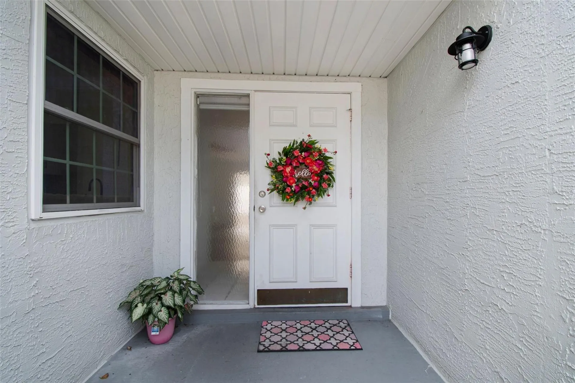341 Hibiscus Drive Palm Harbor FL 34684