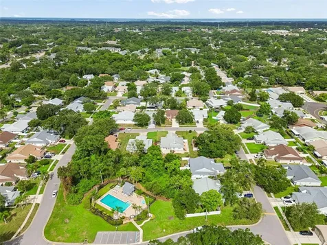 341 Hibiscus Drive Palm Harbor FL 34684