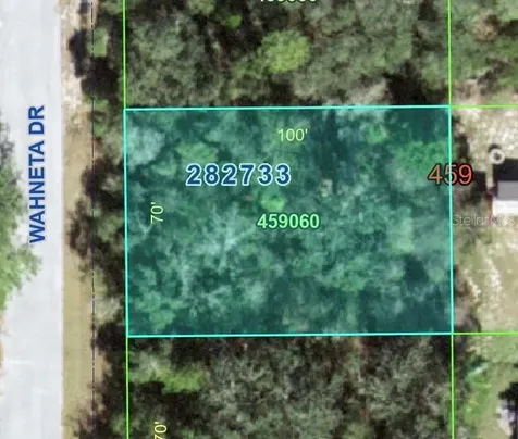1211 Wahneta Drive Poinciana FL 34759