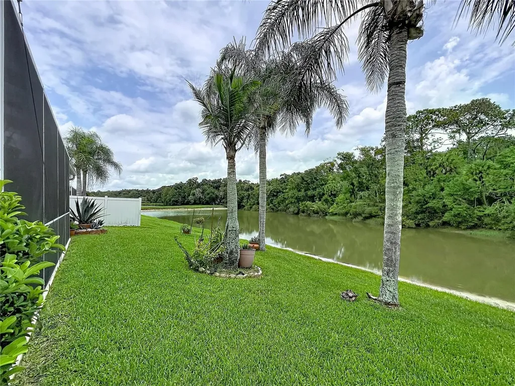 27544 Breakers Drive Wesley Chapel FL 33544