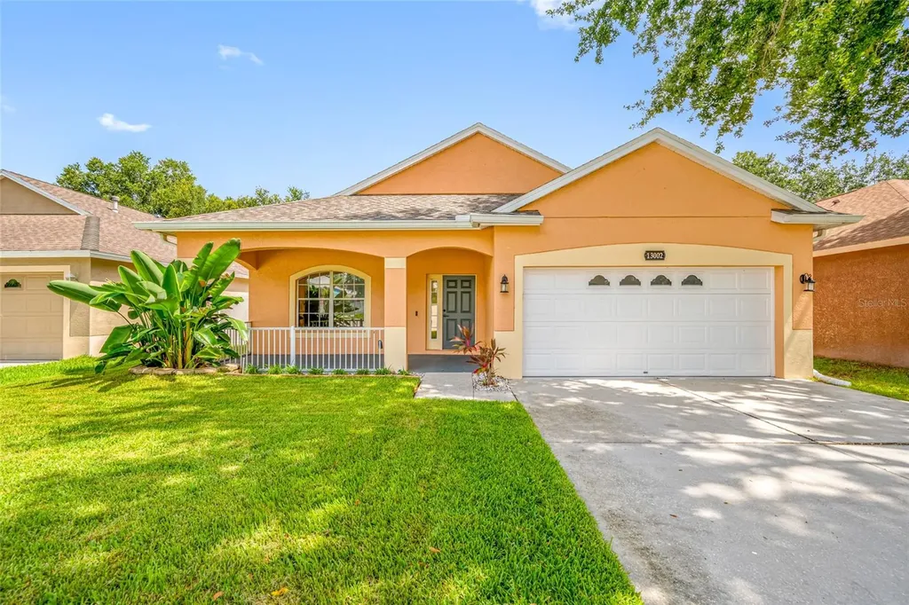 13002 Terrace Springs Drive Tampa FL 33637