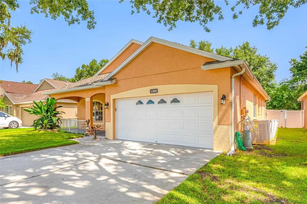 13002 Terrace Springs Drive Tampa FL 33637