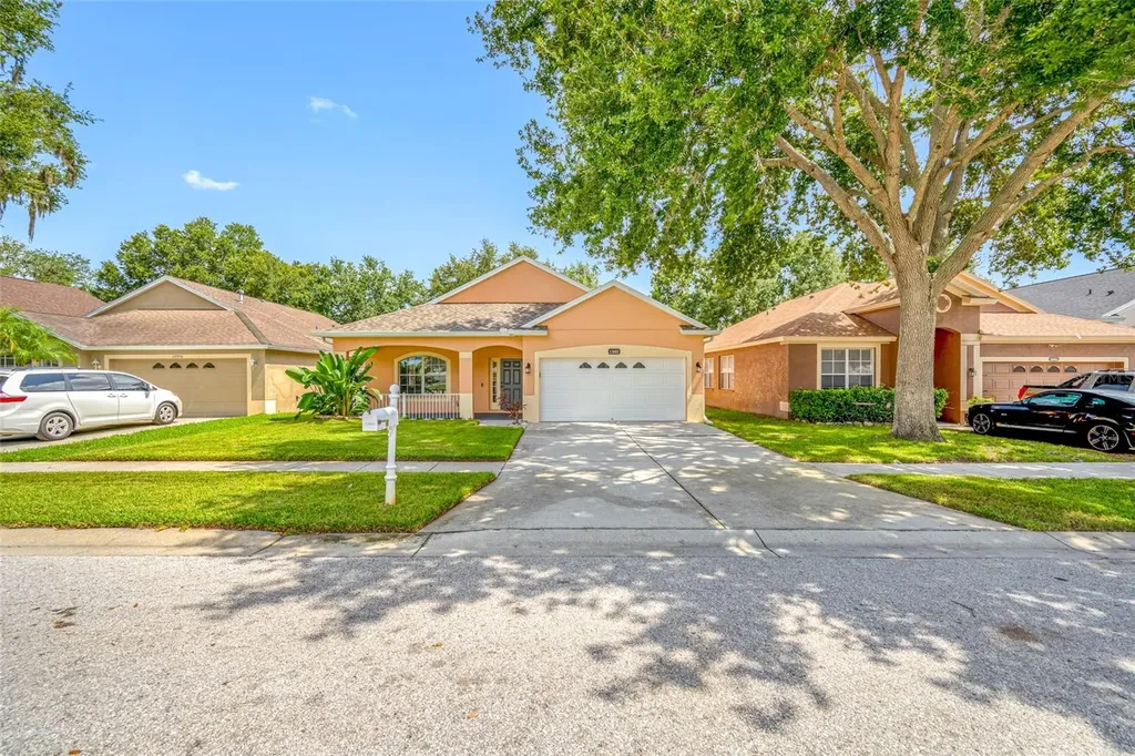 13002 Terrace Springs Drive Tampa FL 33637