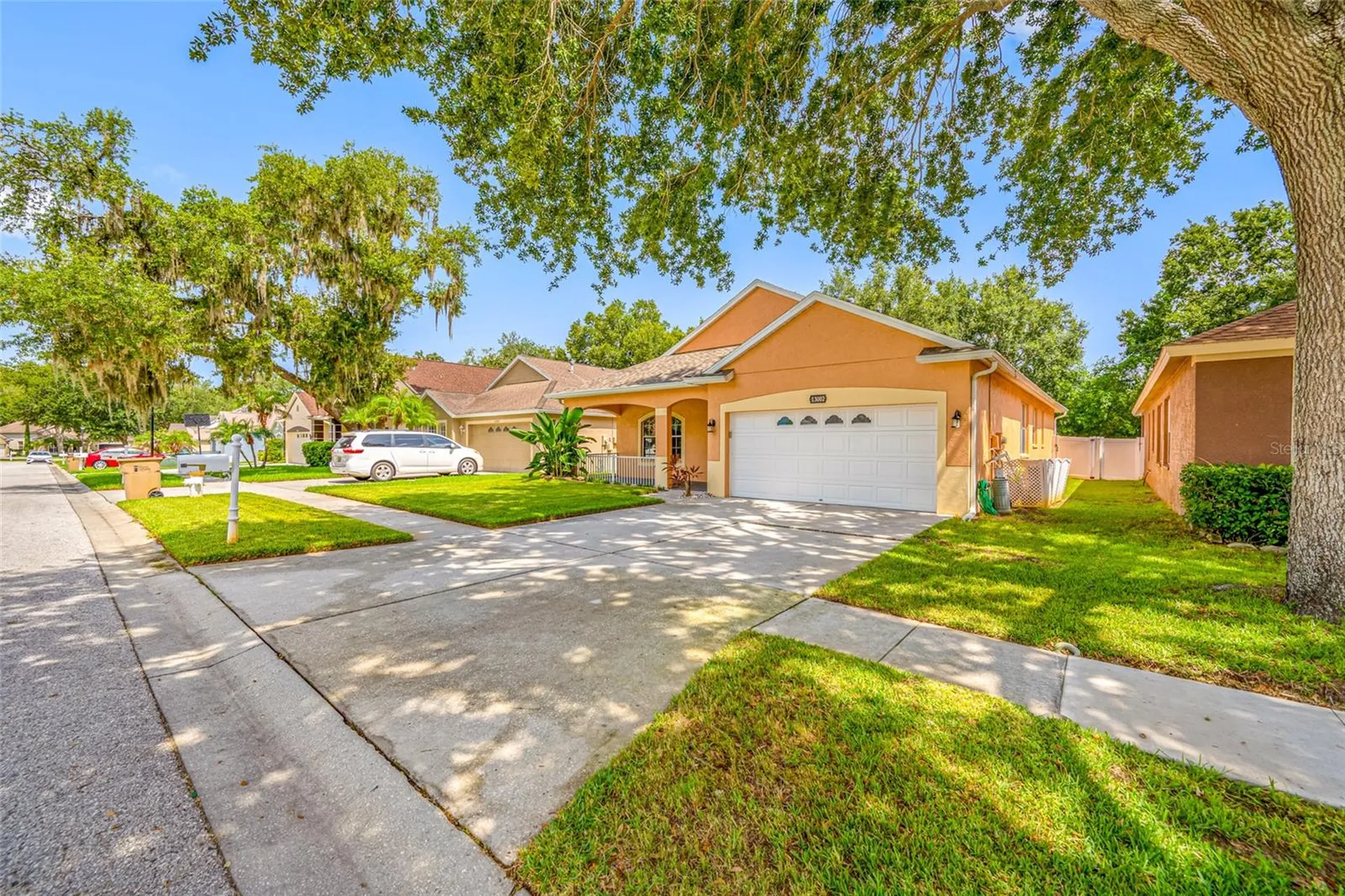 13002 Terrace Springs Drive Tampa FL 33637