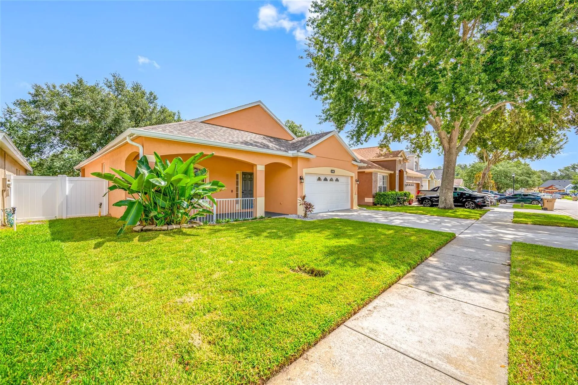 13002 Terrace Springs Drive Tampa FL 33637