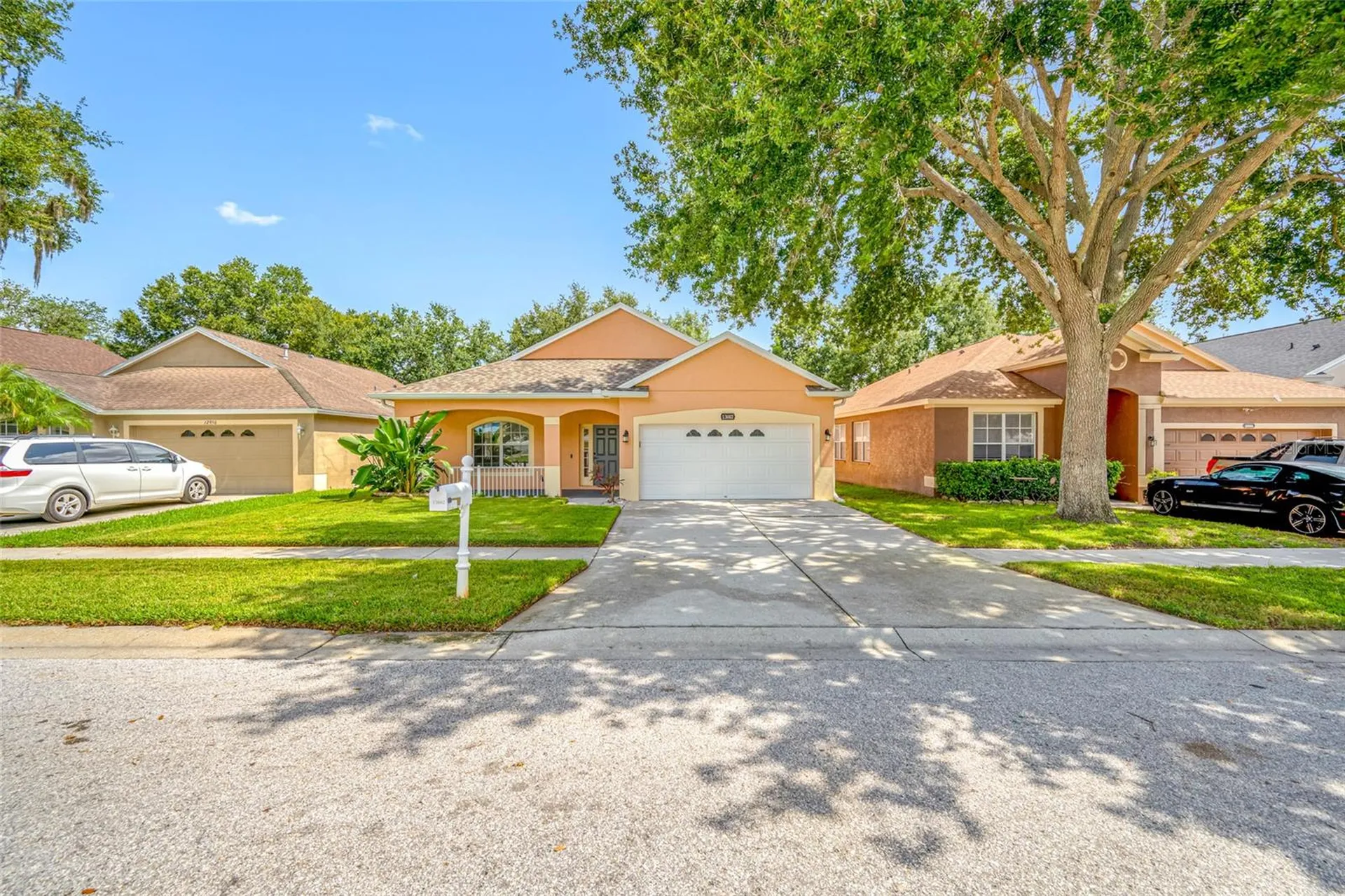 13002 Terrace Springs Drive Tampa FL 33637