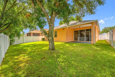 13002 Terrace Springs Drive Tampa FL 33637