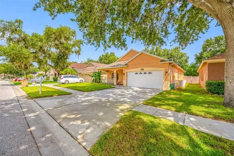 13002 Terrace Springs Drive Tampa FL 33637