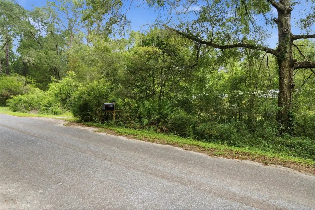 9955 S Forestline Avenue Inverness FL 34452