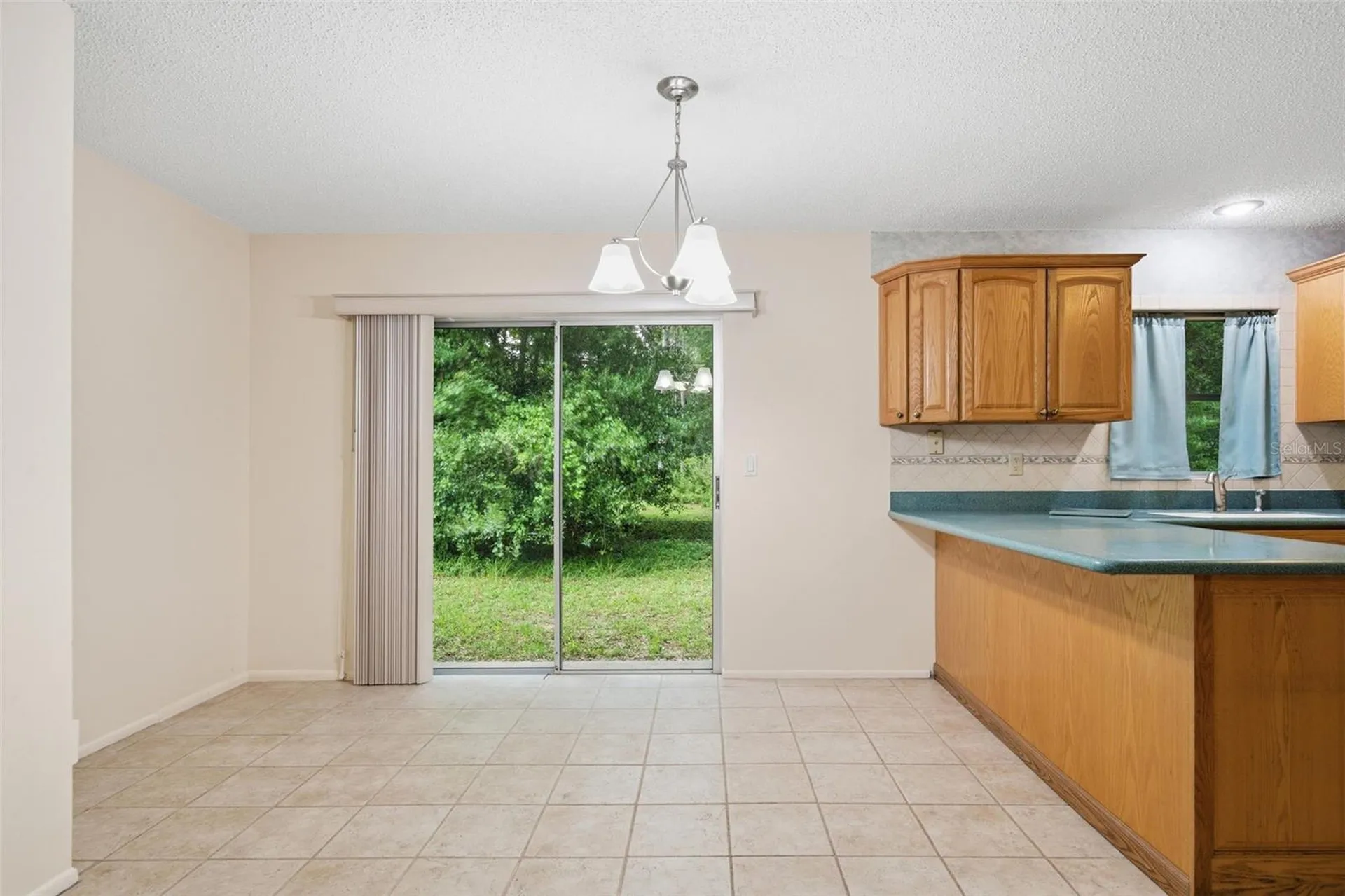 9955 S Forestline Avenue Inverness FL 34452