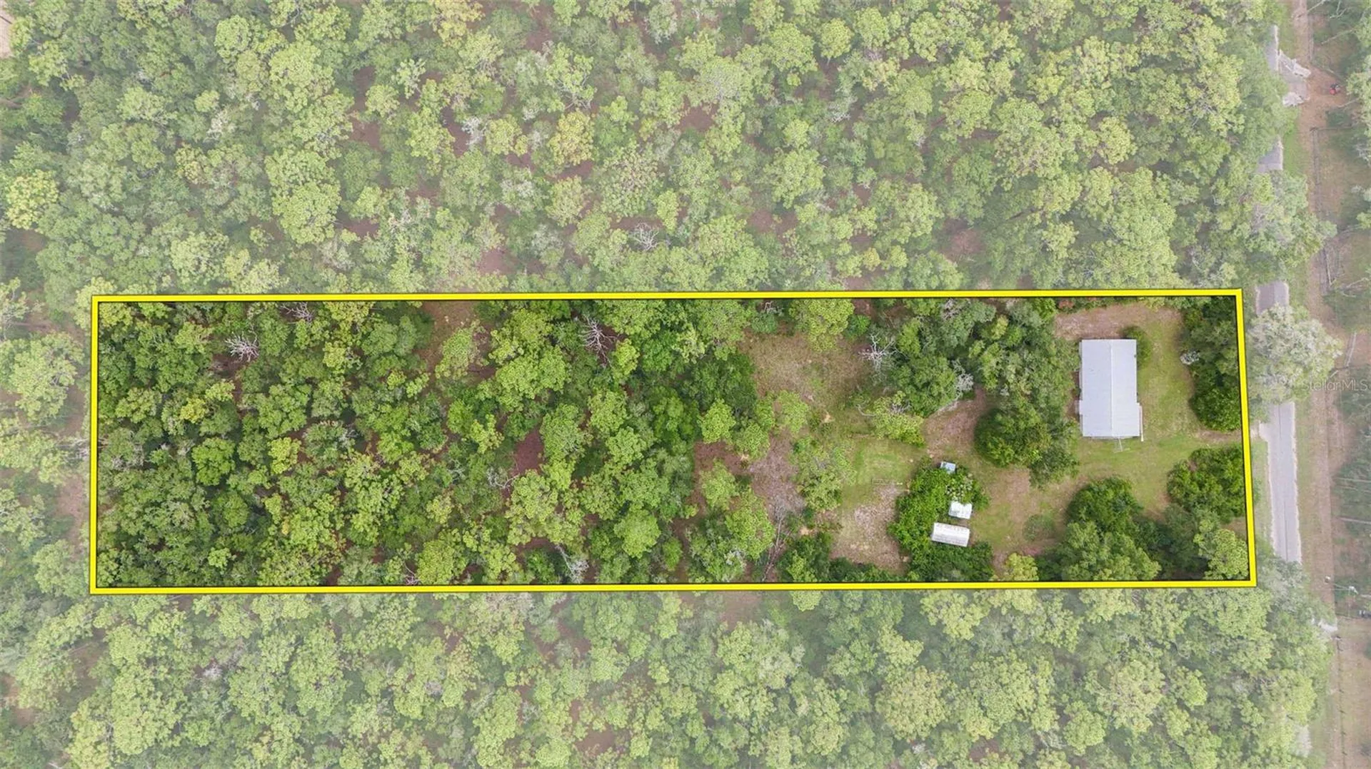 9955 S Forestline Avenue Inverness FL 34452