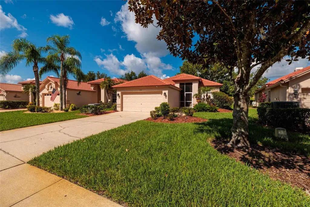 1338 Dartford Drive Tarpon Springs FL 34688