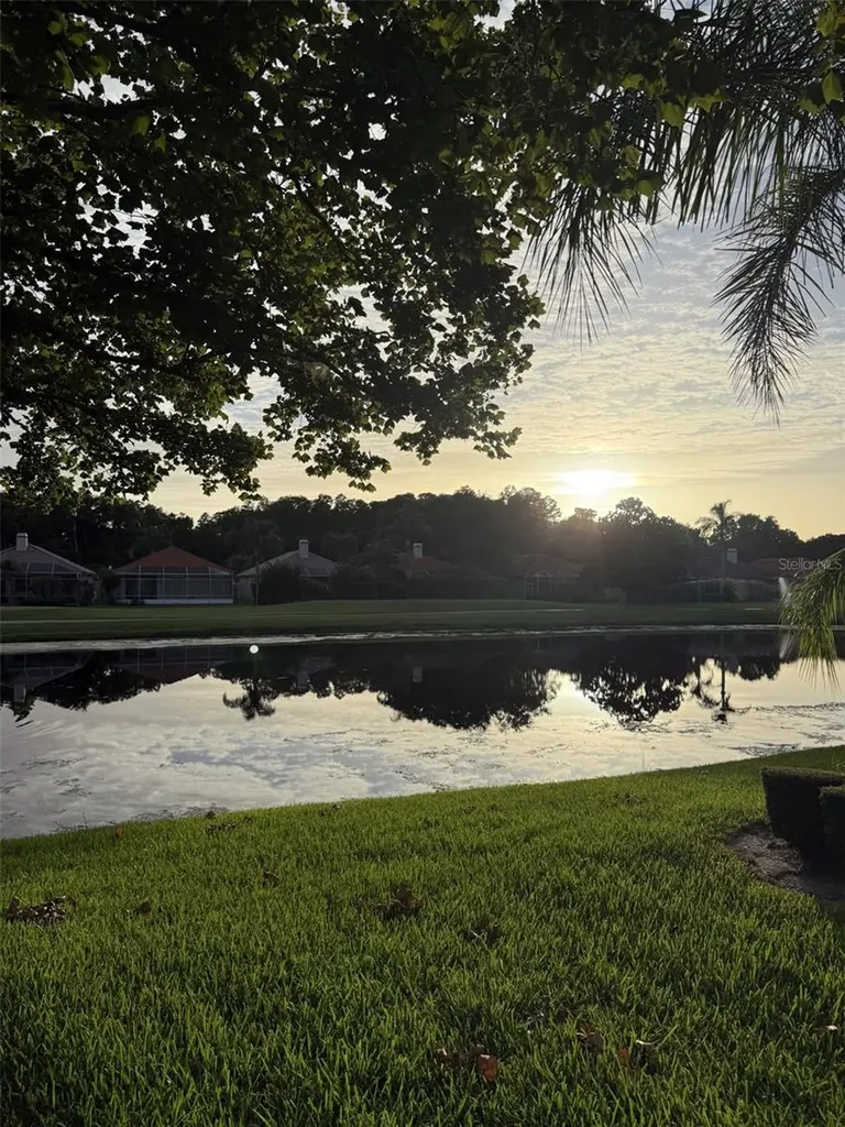1338 Dartford Drive Tarpon Springs FL 34688