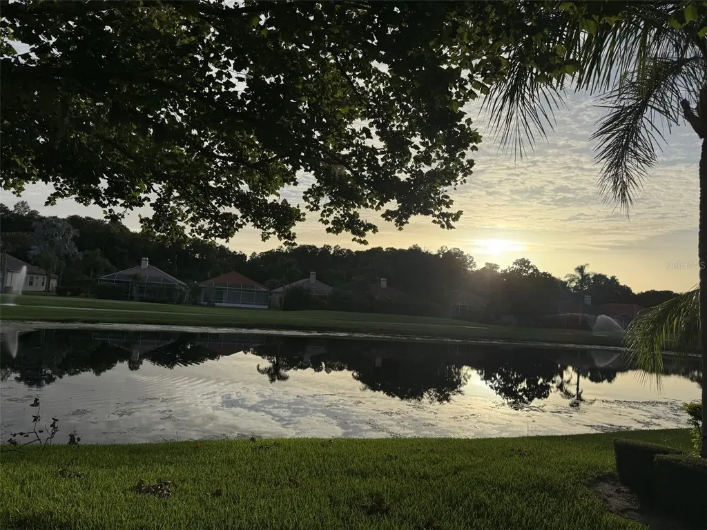 1338 Dartford Drive Tarpon Springs FL 34688