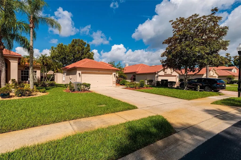 1338 Dartford Drive Tarpon Springs FL 34688