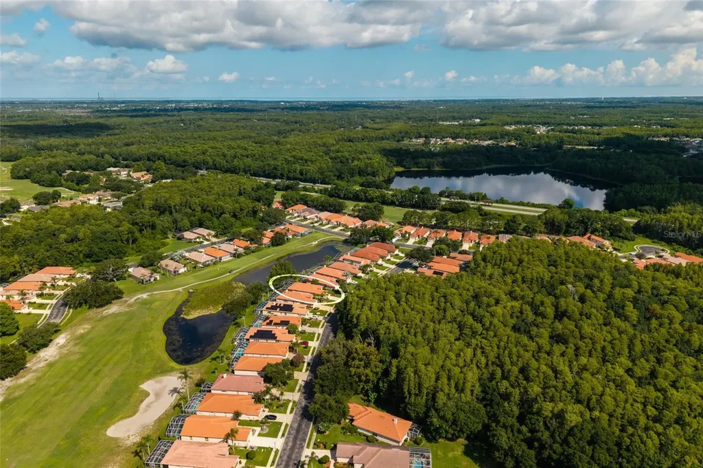 1338 Dartford Drive Tarpon Springs FL 34688