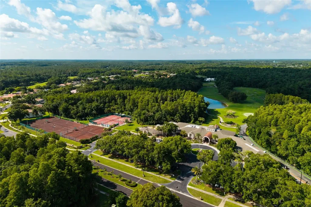 1338 Dartford Drive Tarpon Springs FL 34688